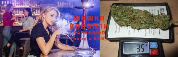 гидра Пересвет