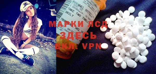 гидра Пересвет