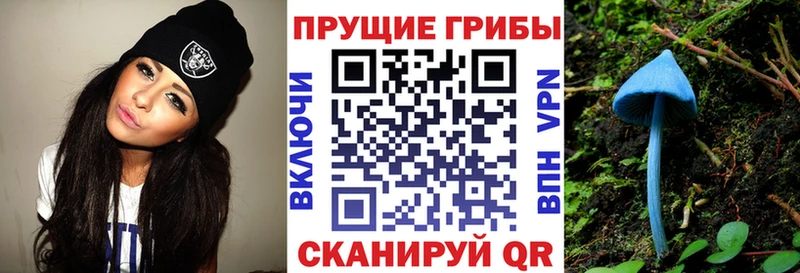 где купить наркотик Асино Галлюциногенные грибы GOLDEN TEACHER