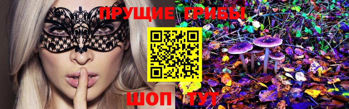 купить   Псилоцибиновые грибы Psilocybe  Асино  Галлюциногенные грибы мухоморы 