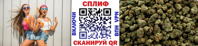 наркотики  ОМГ ОМГ вход  Бошки марихуана план  Асино 