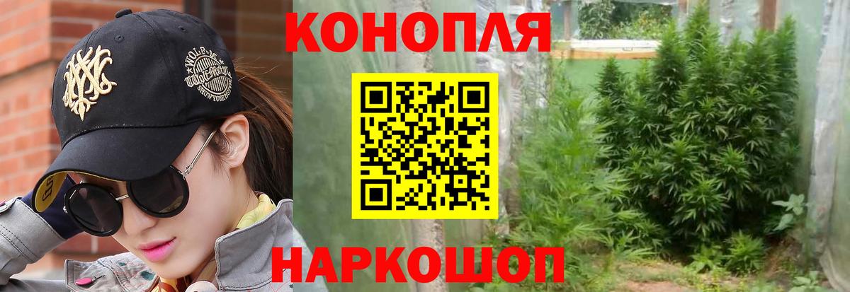 Конопля AK-47 Асино